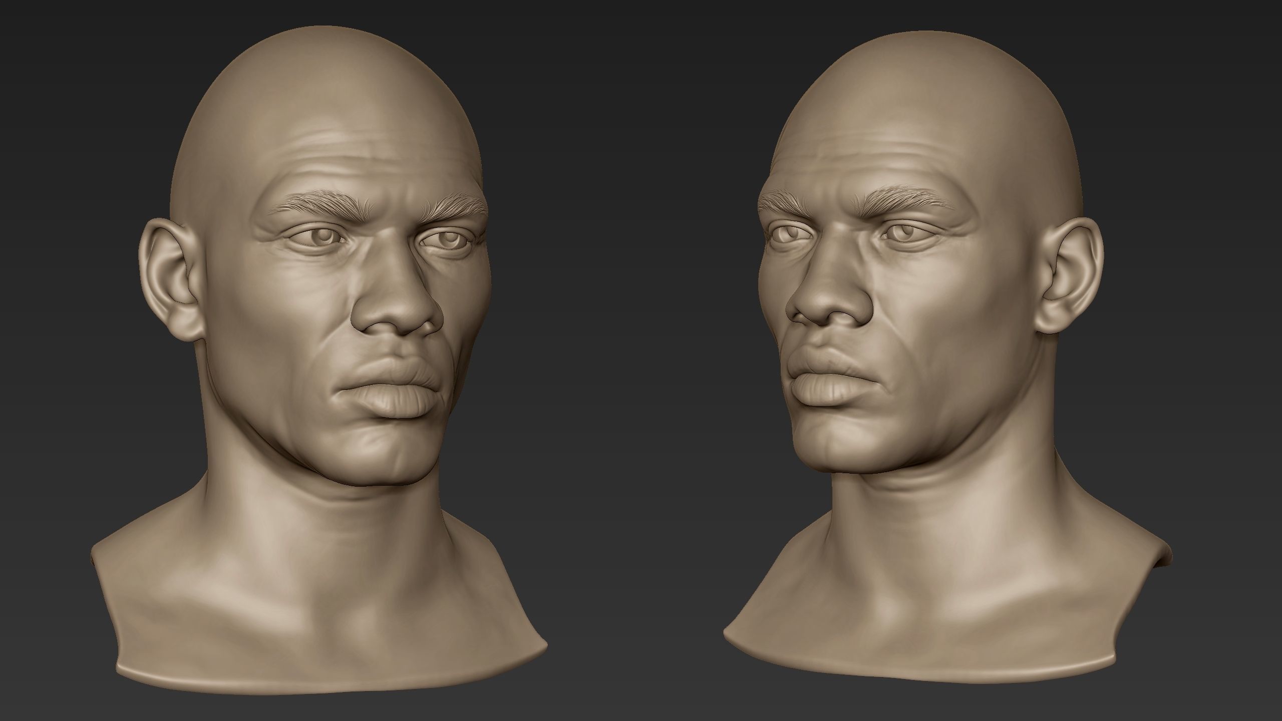 Bearded Man Sculpt 2 3D model_9