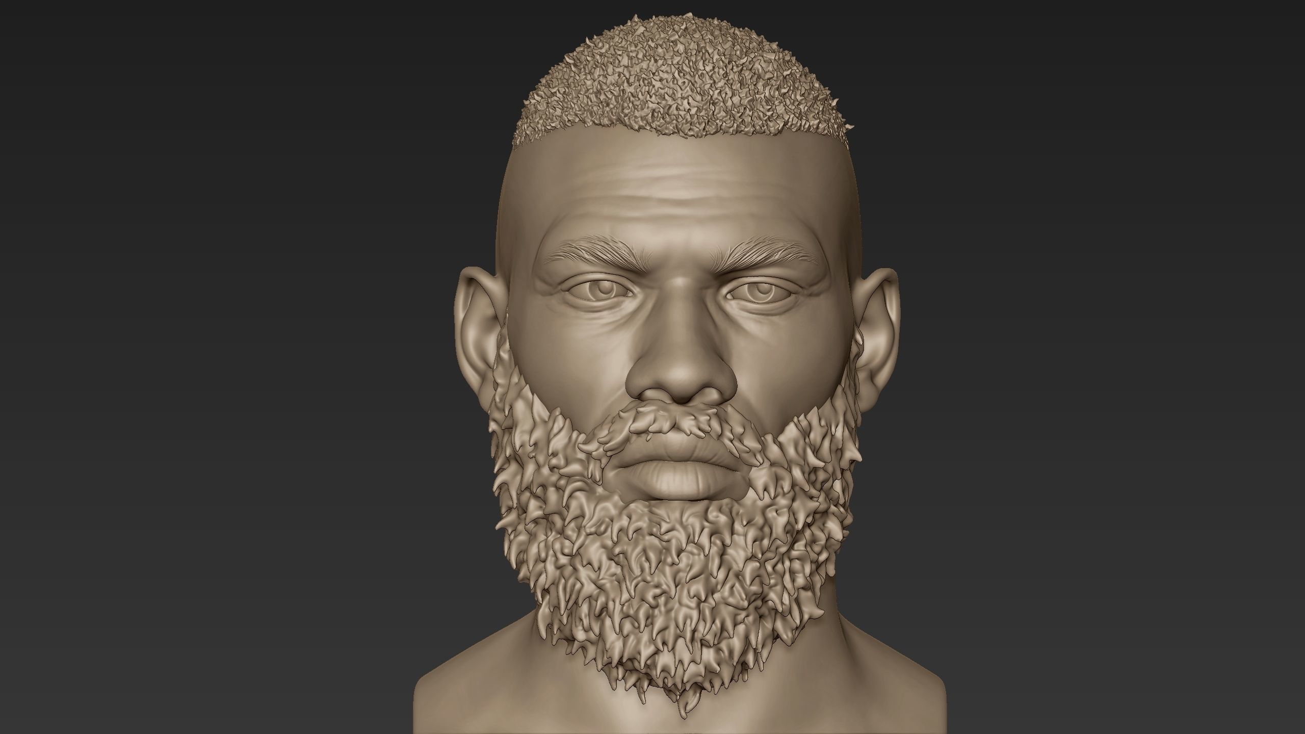 Bearded Man Sculpt 2 3D model_1