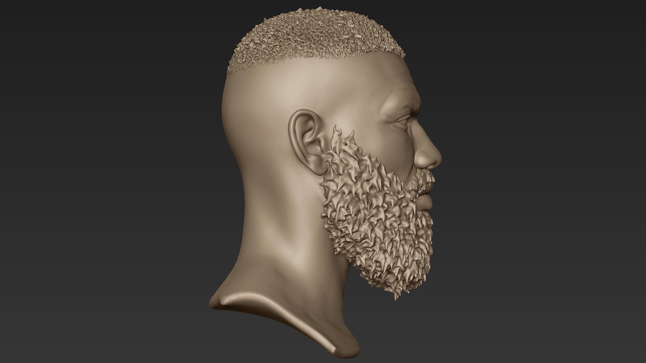 Bearded Man Sculpt 2 3D model_6