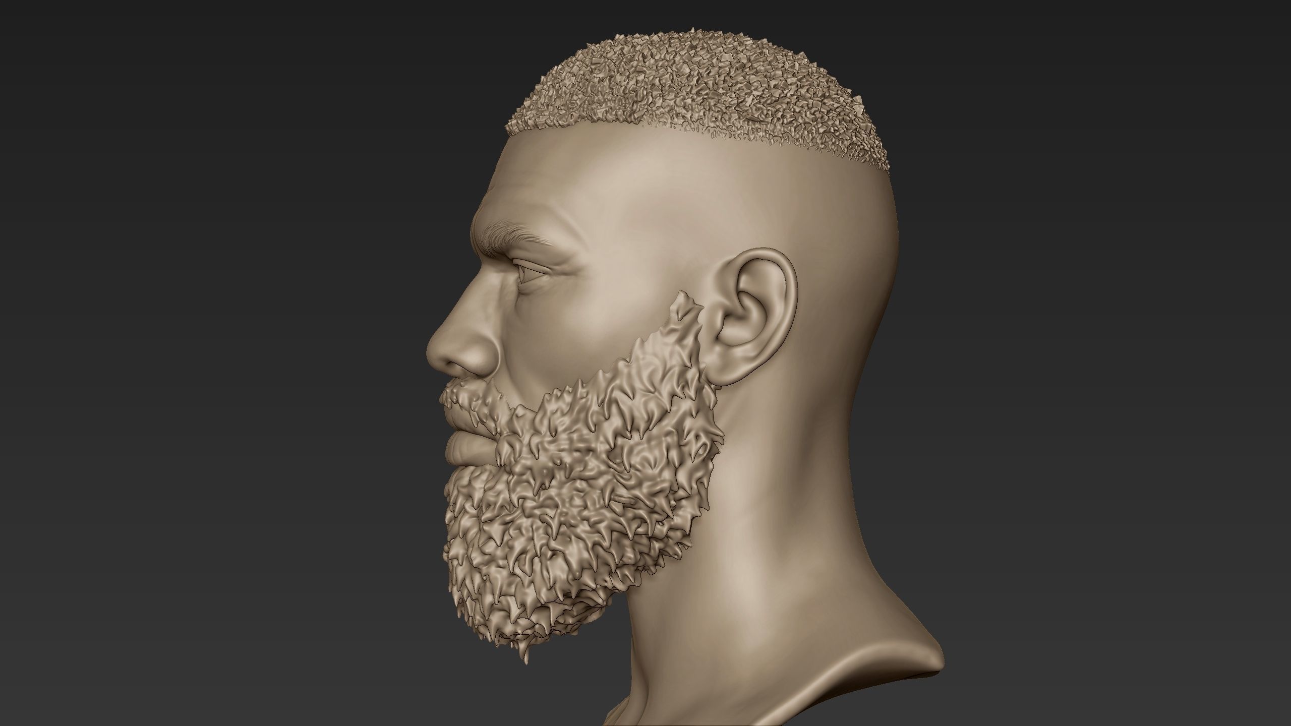 Bearded Man Sculpt 2 3D model_4