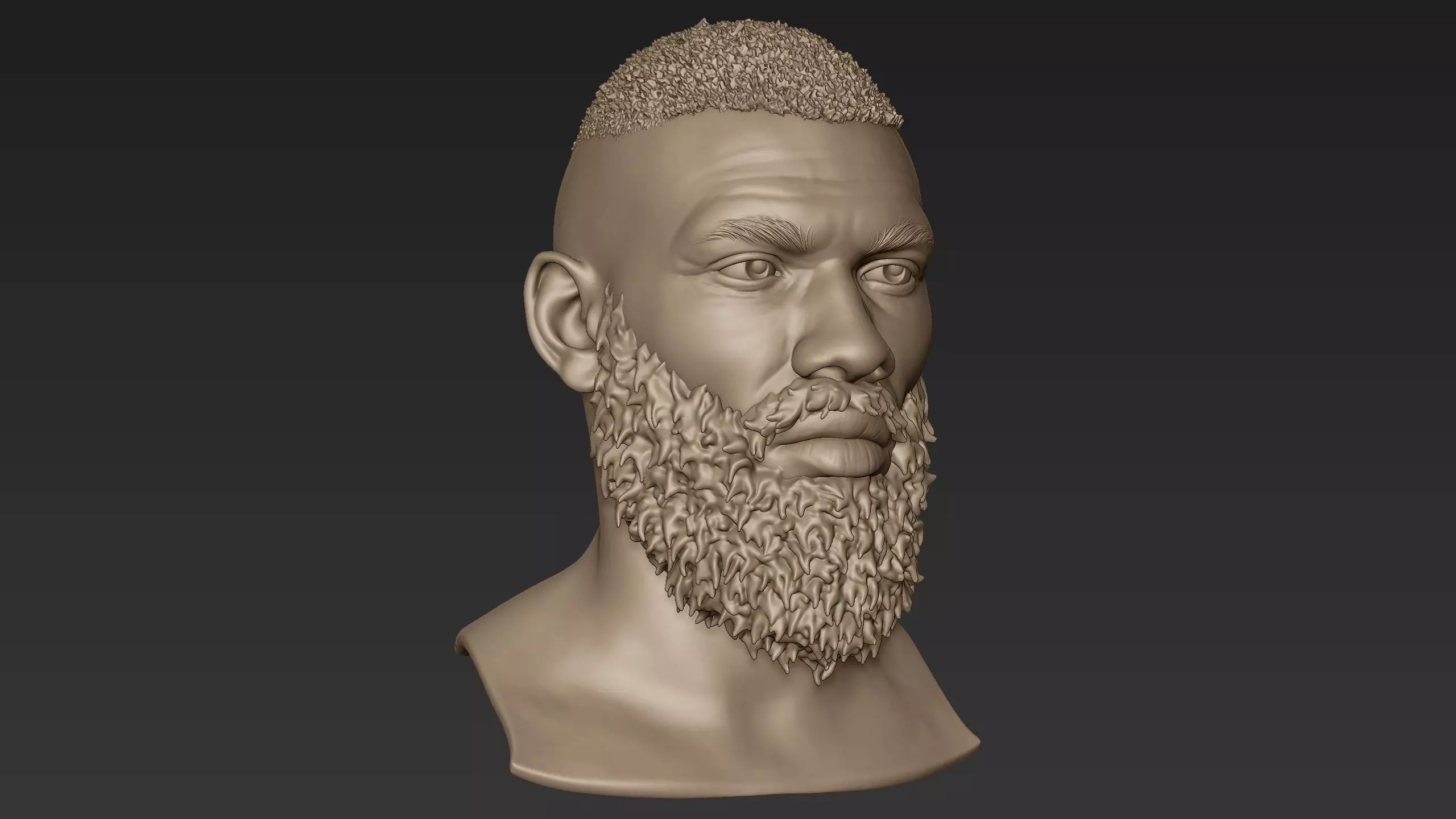 Bearded Man Sculpt 2 3D model_0