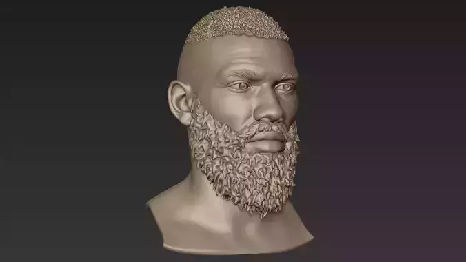 Bearded Man Sculpt 2