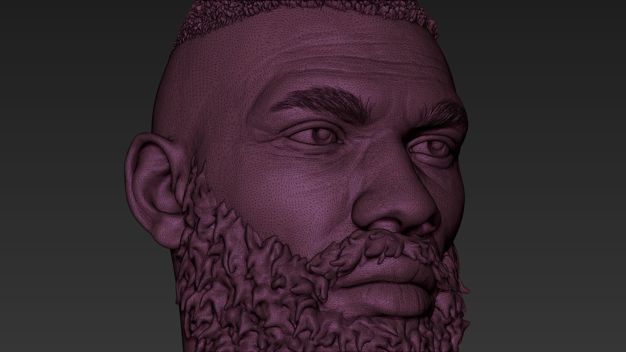 Bearded Man Sculpt 2 3D model_10