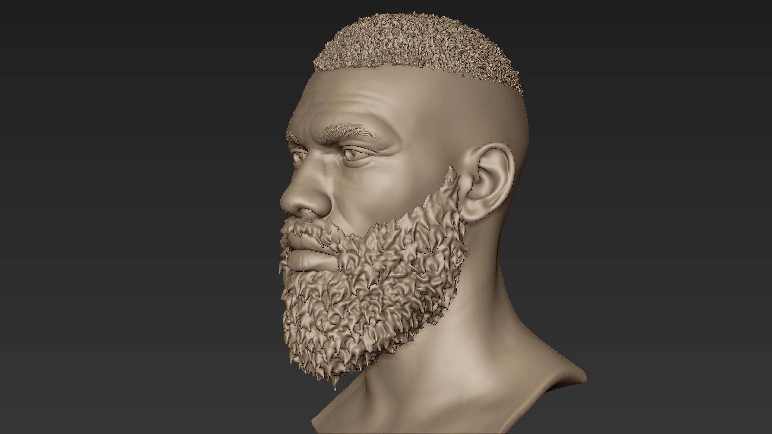 Bearded Man Sculpt 2 3D model_3