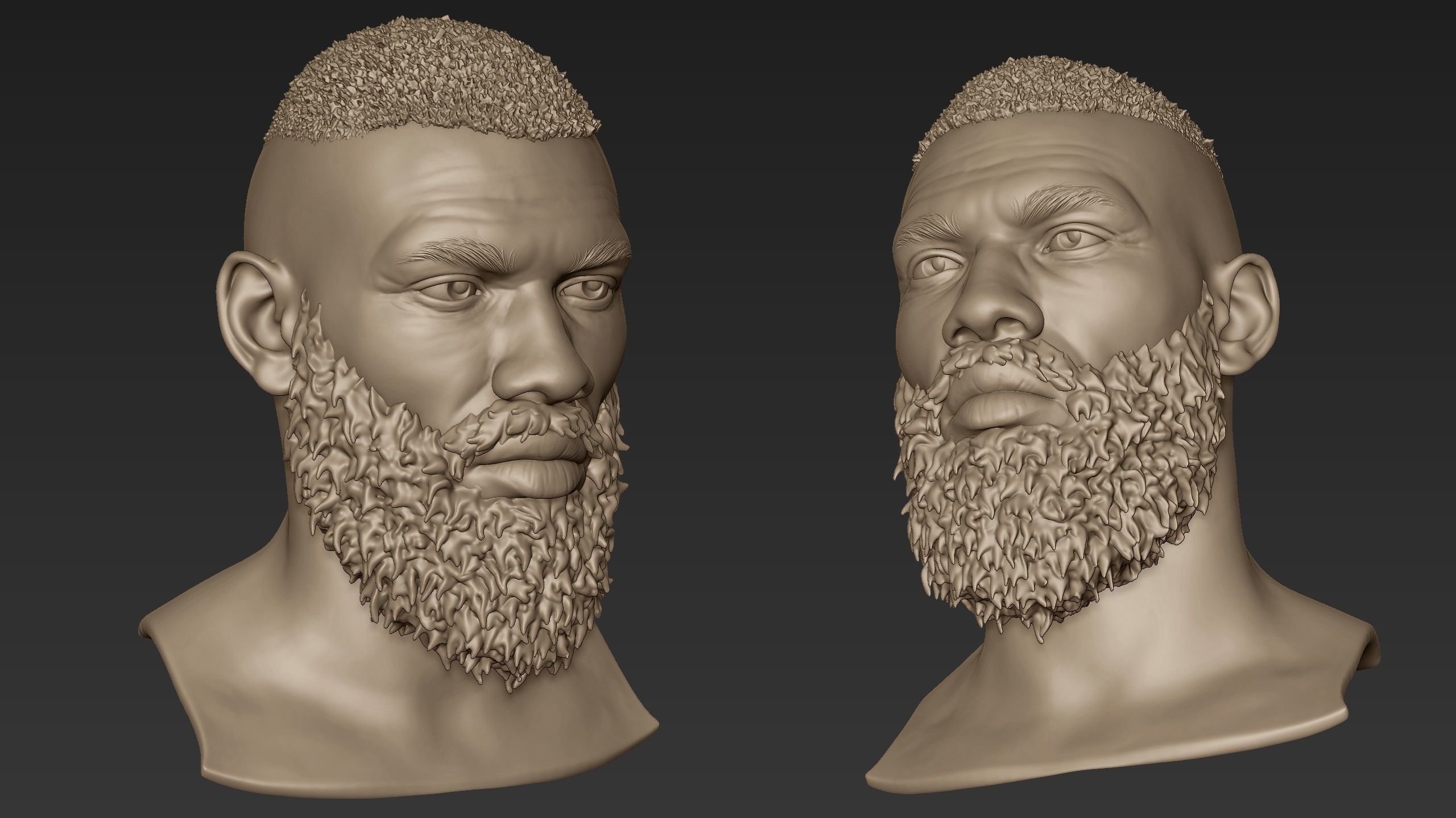 Bearded Man Sculpt 2 3D model_8