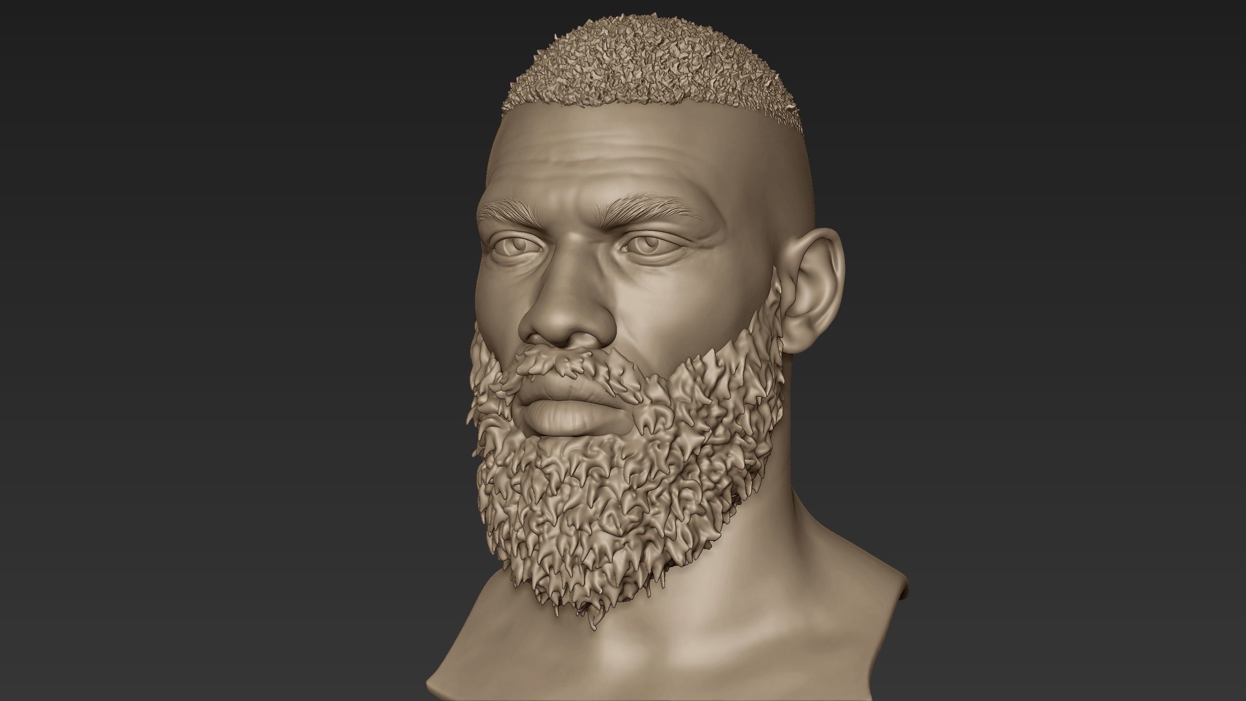 Bearded Man Sculpt 2 3D model_2