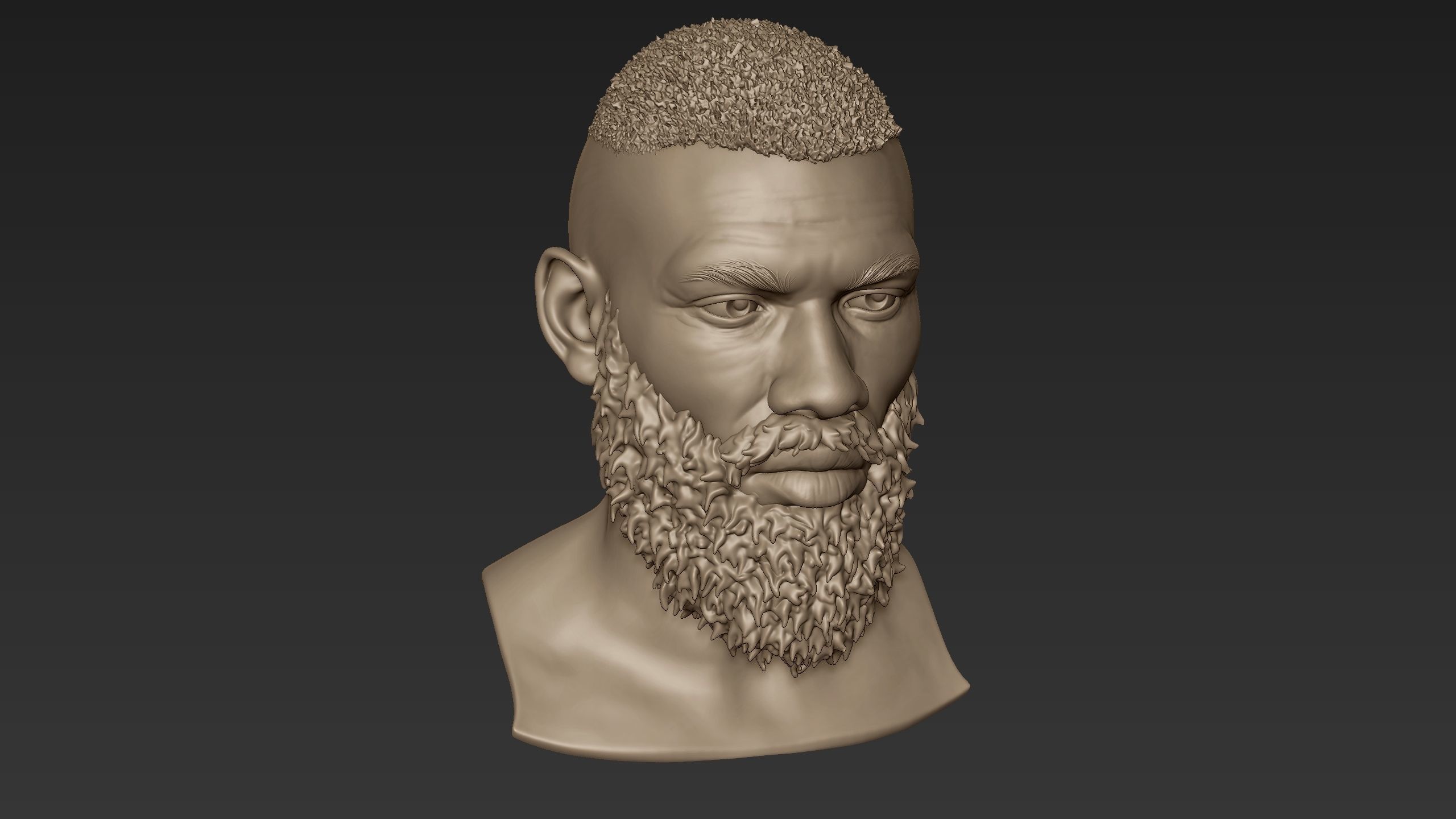 Bearded Man Sculpt 2 3D model_7