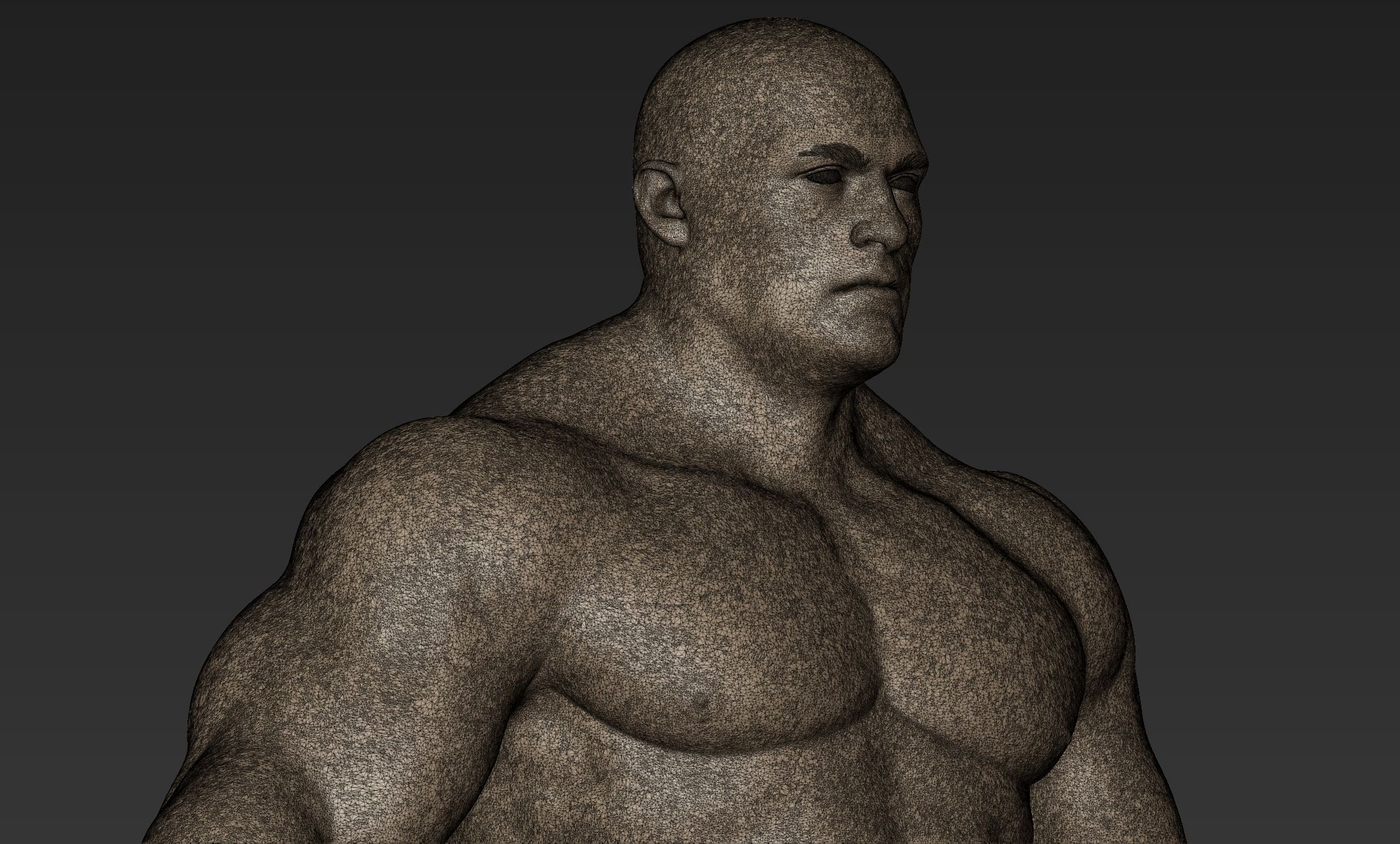 Superhero Basemesh Sculpt 2 3D model_10