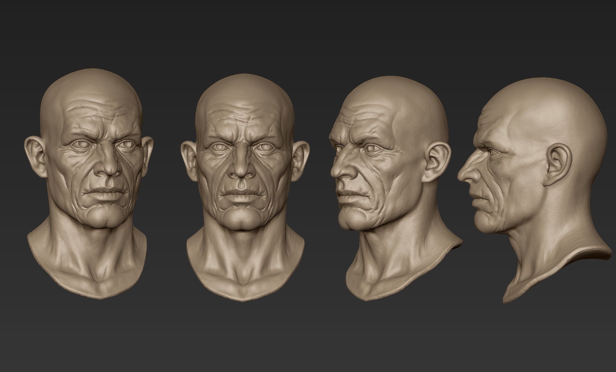 Old Man Head Sculpt 3D model_11