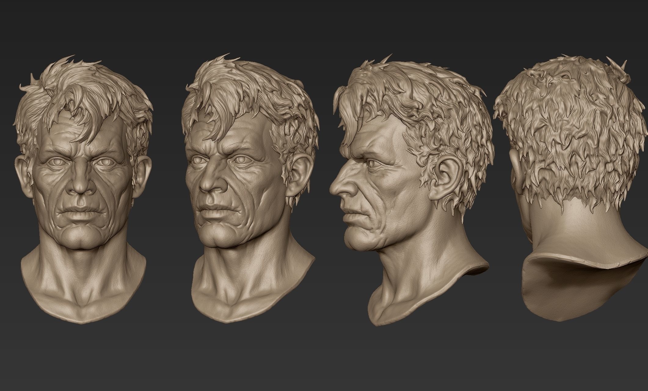 Old Man Head Sculpt 3D model_12