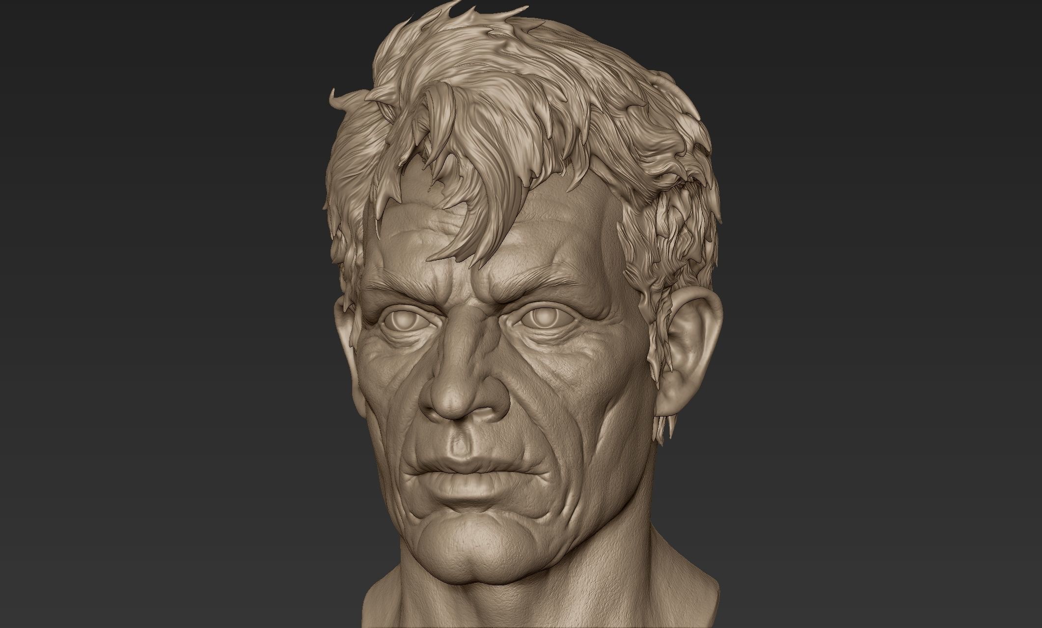 Old Man Head Sculpt 3D model_8