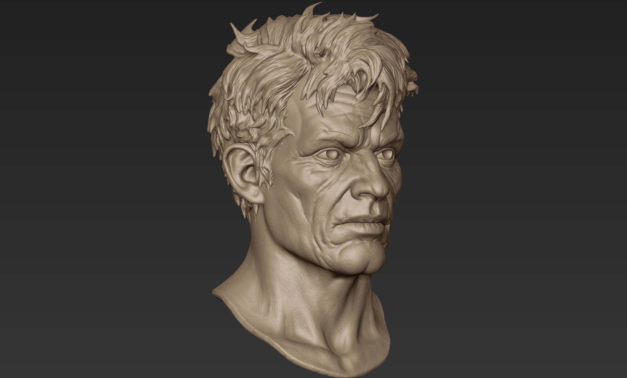 Old Man Head Sculpt 3D model_2