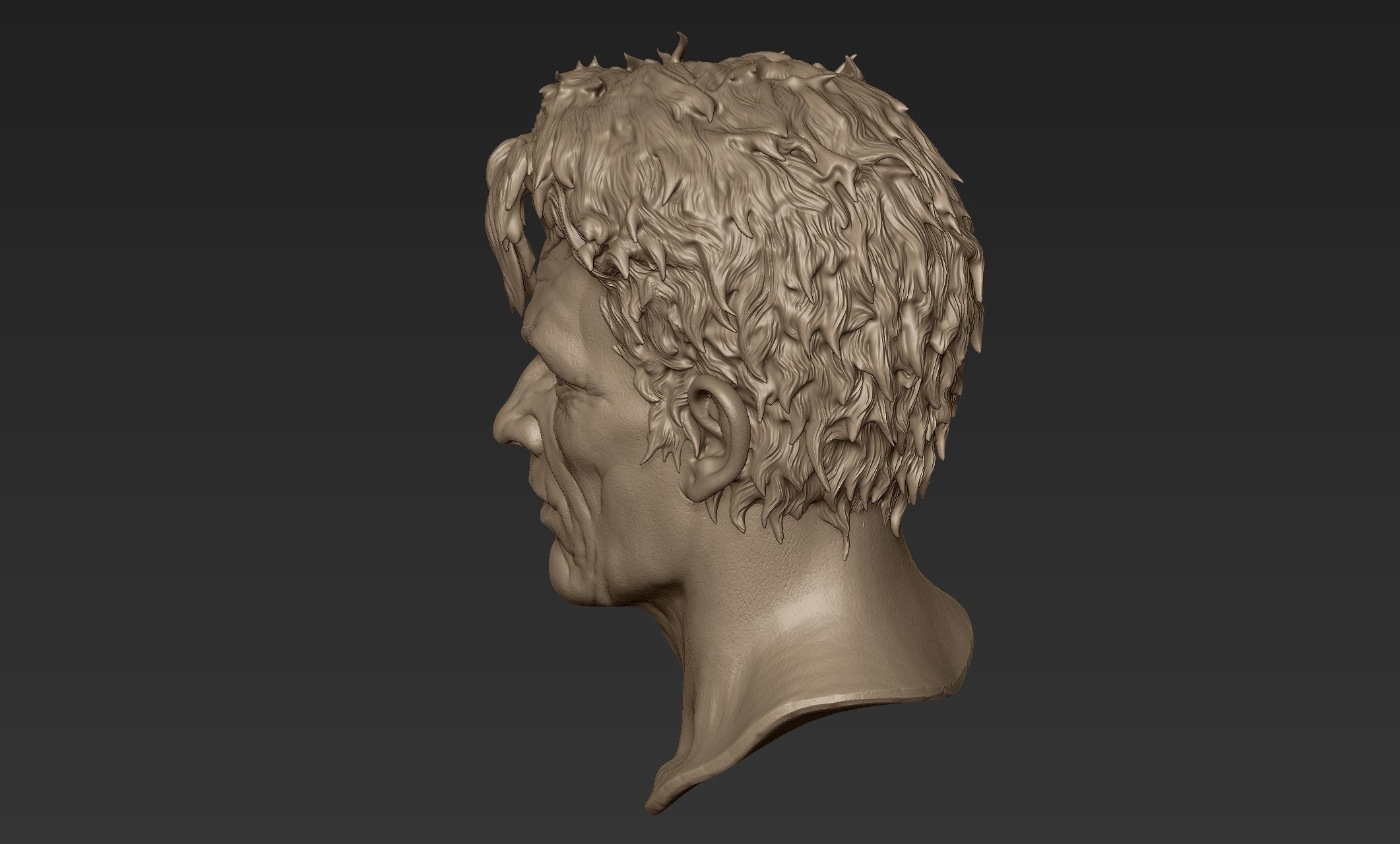 Old Man Head Sculpt 3D model_6