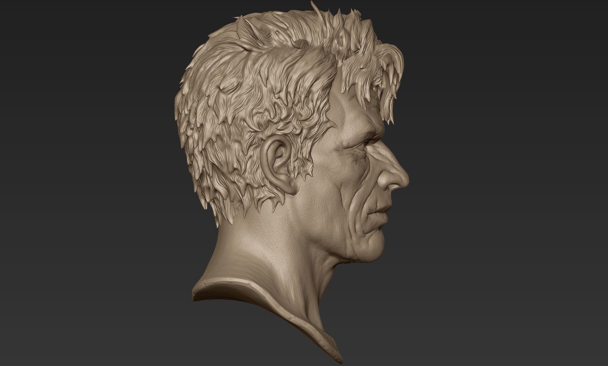 Old Man Head Sculpt 3D model_4