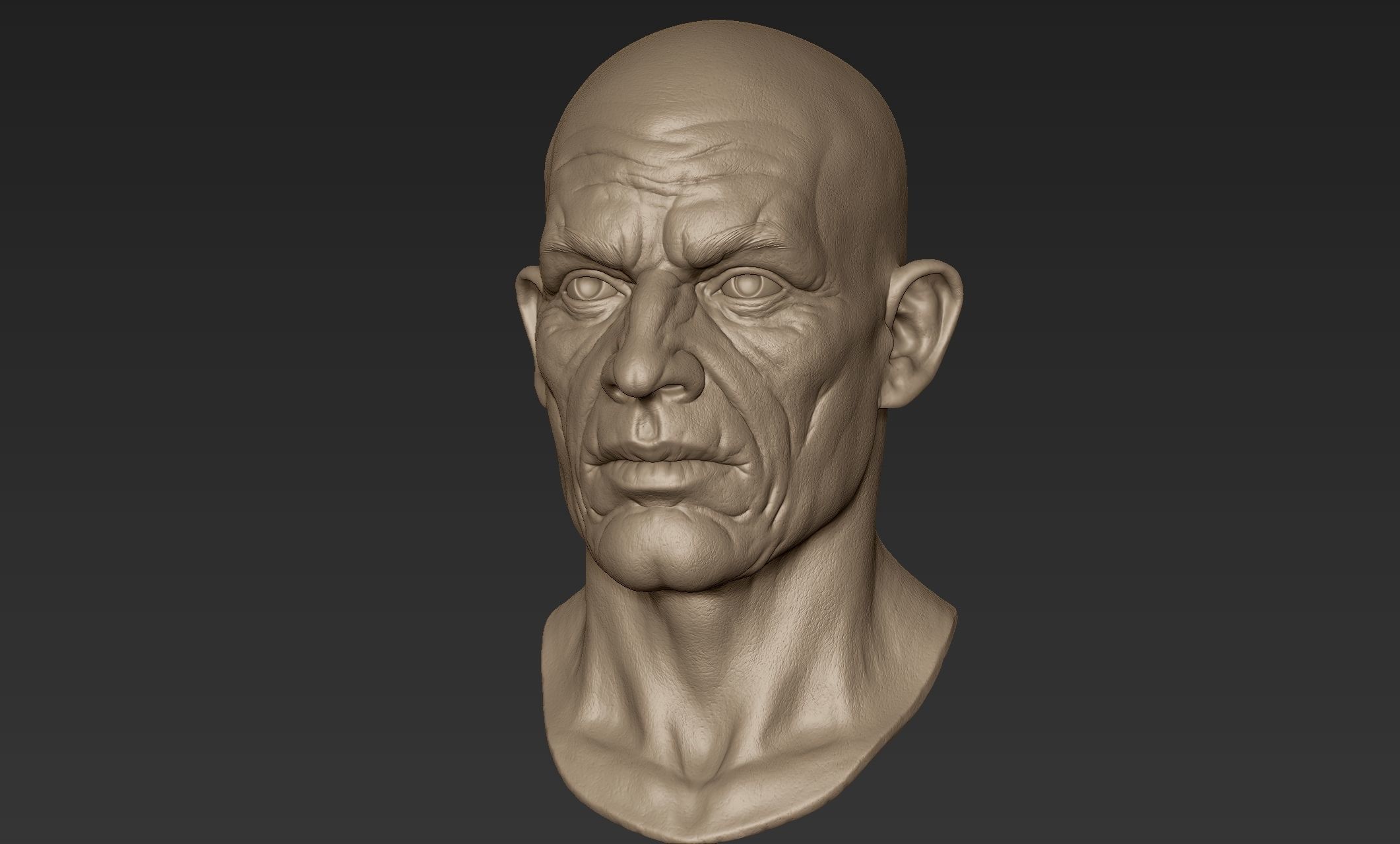 Old Man Head Sculpt 3D model_9