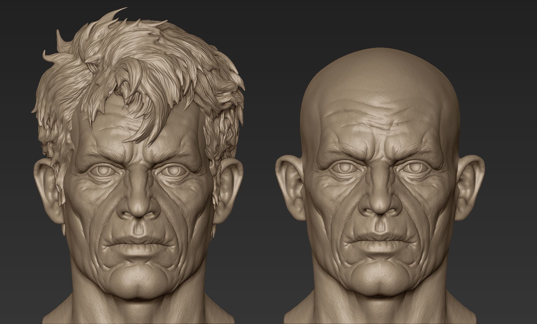Old Man Head Sculpt 3D model_1