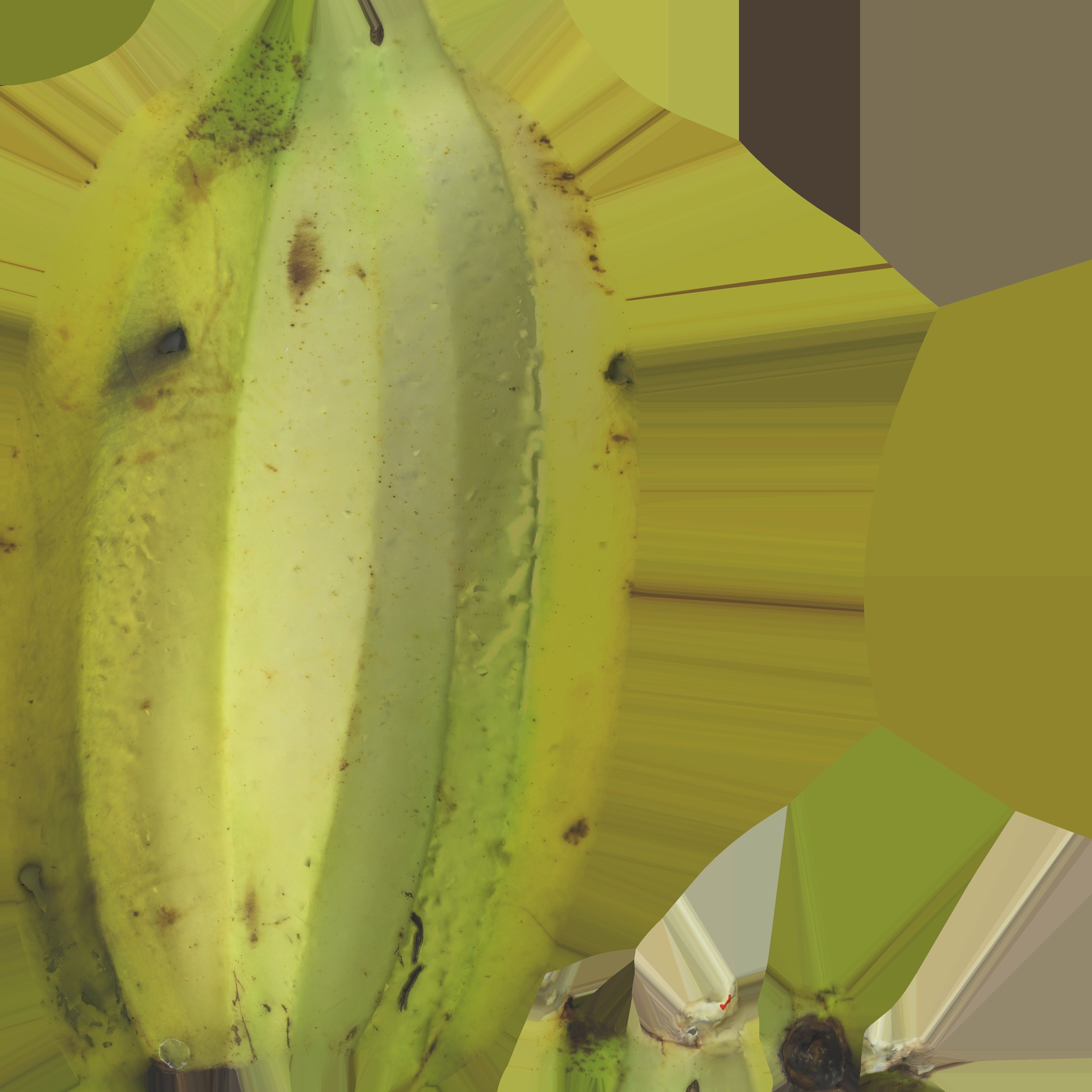 Game Ready Banana Low-poly 3D model_18