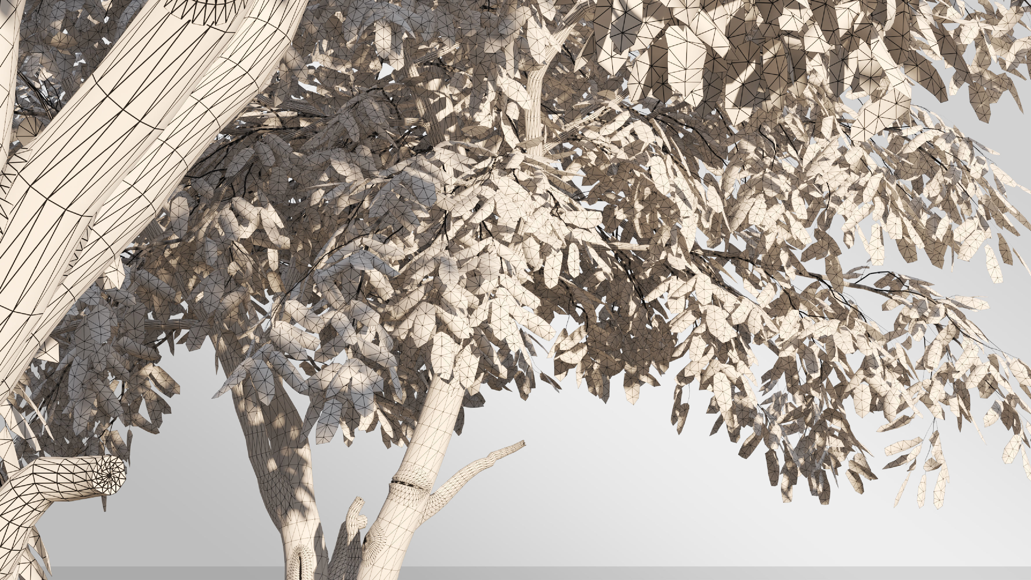 4 tree 3d models-Vol 02 3D model_5