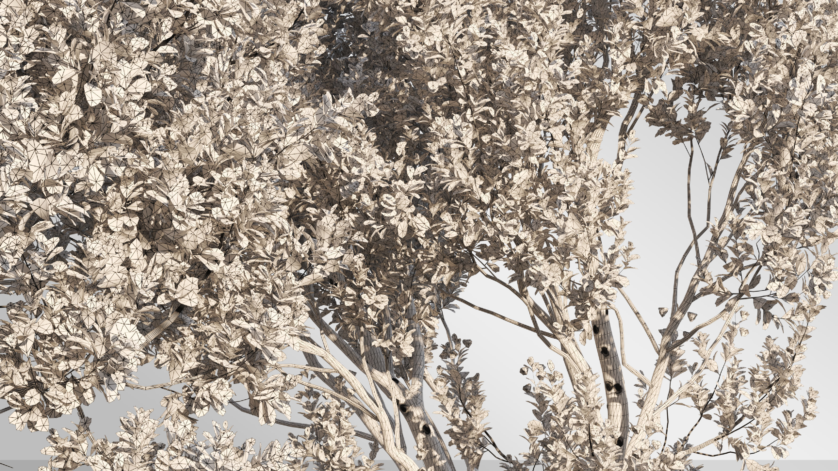 4 tree 3d models-Vol 02 3D model_6