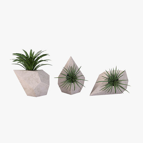 Trio Geometric Planter Center Piece Table Decoration 3D model