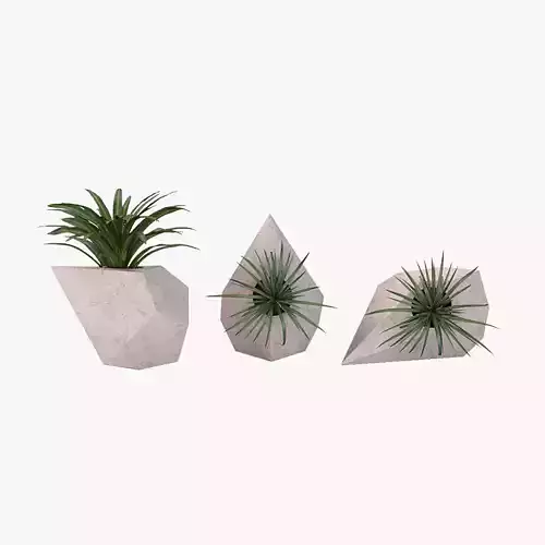 Trio Geometric Planter Center Piece Table Decoration 3D model