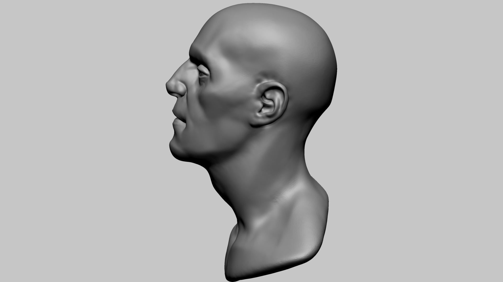Base Male Head B 3D model_5