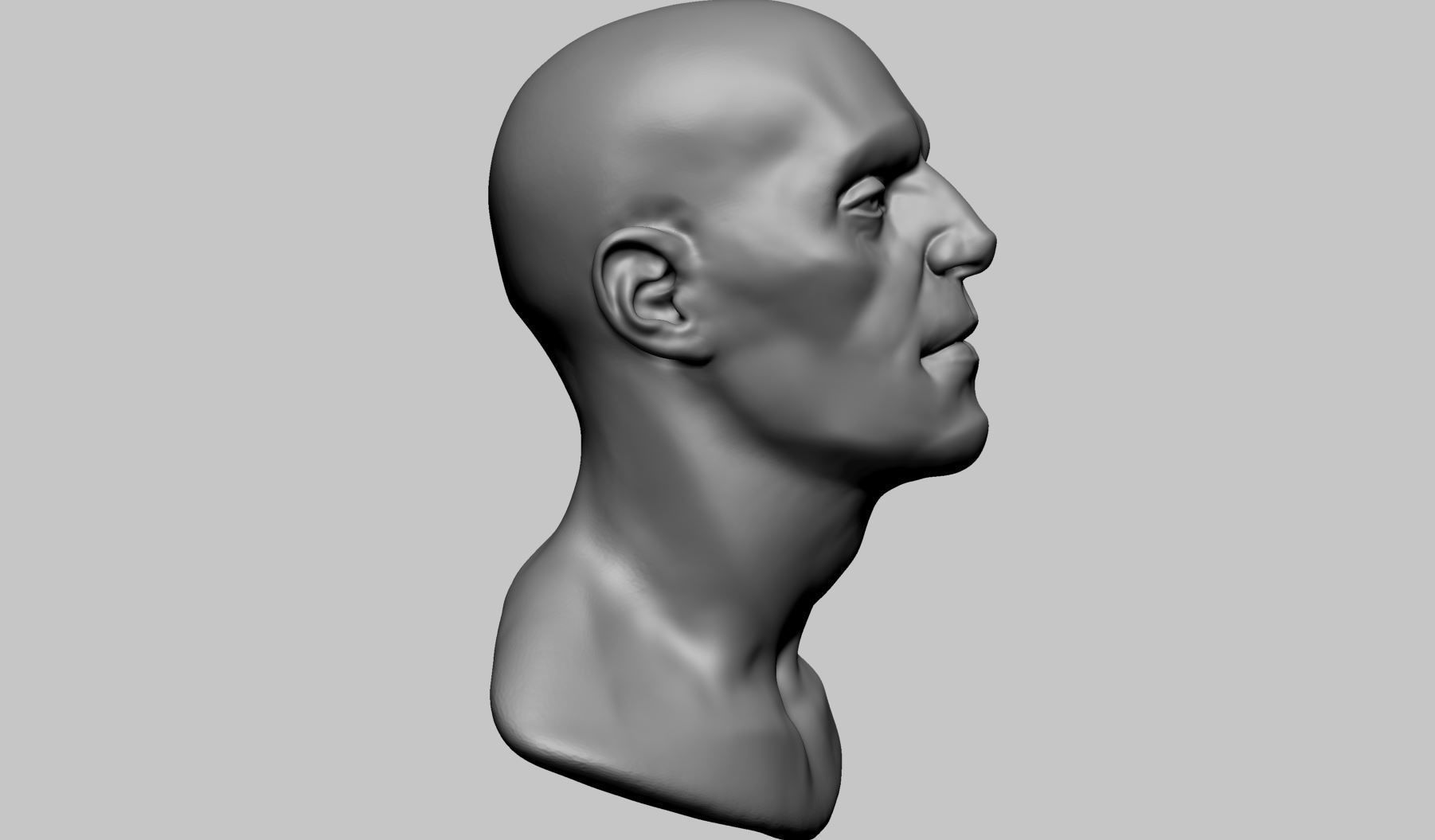 Base Male Head B 3D model_1
