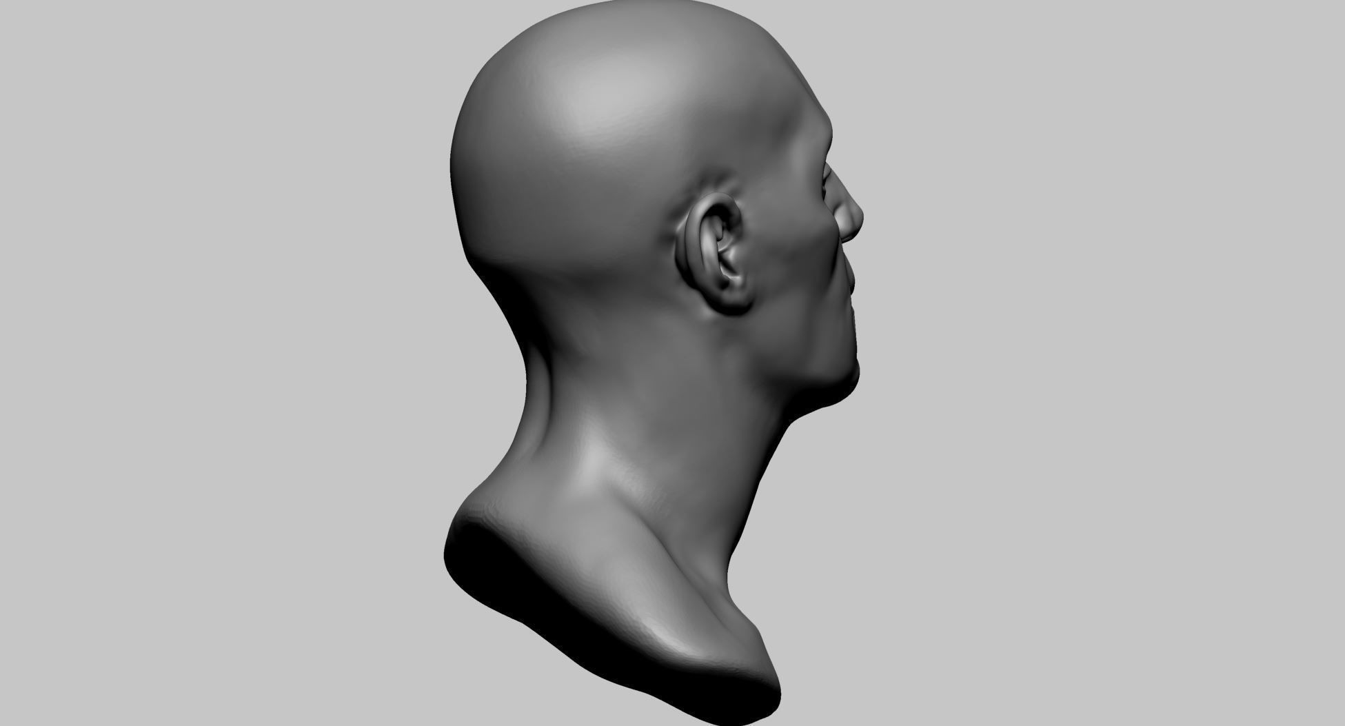 Base Male Head B 3D model_2