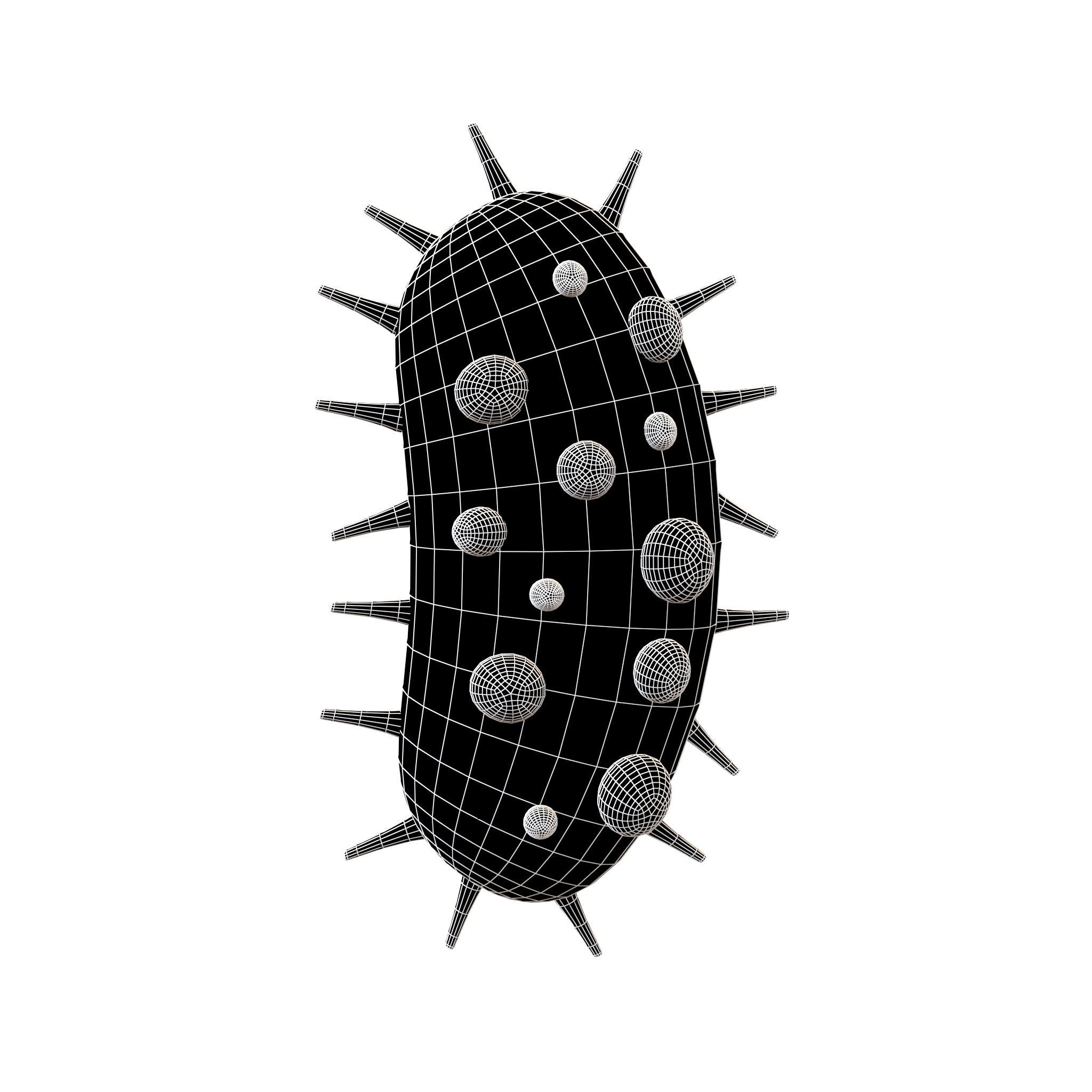 Bacteria Icon v2 004 Low-poly 3D model_4