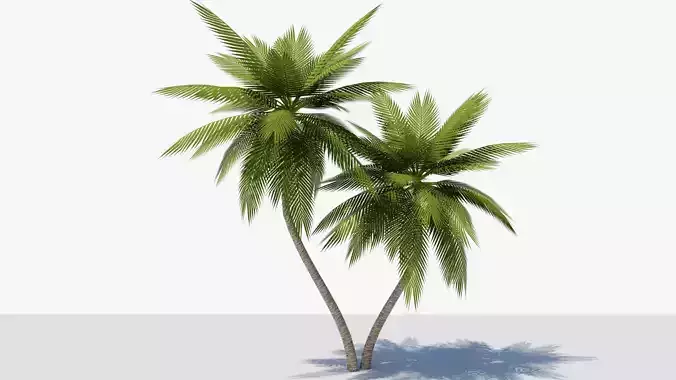 Lowpoly Date Palm v6 Low-poly 3D model