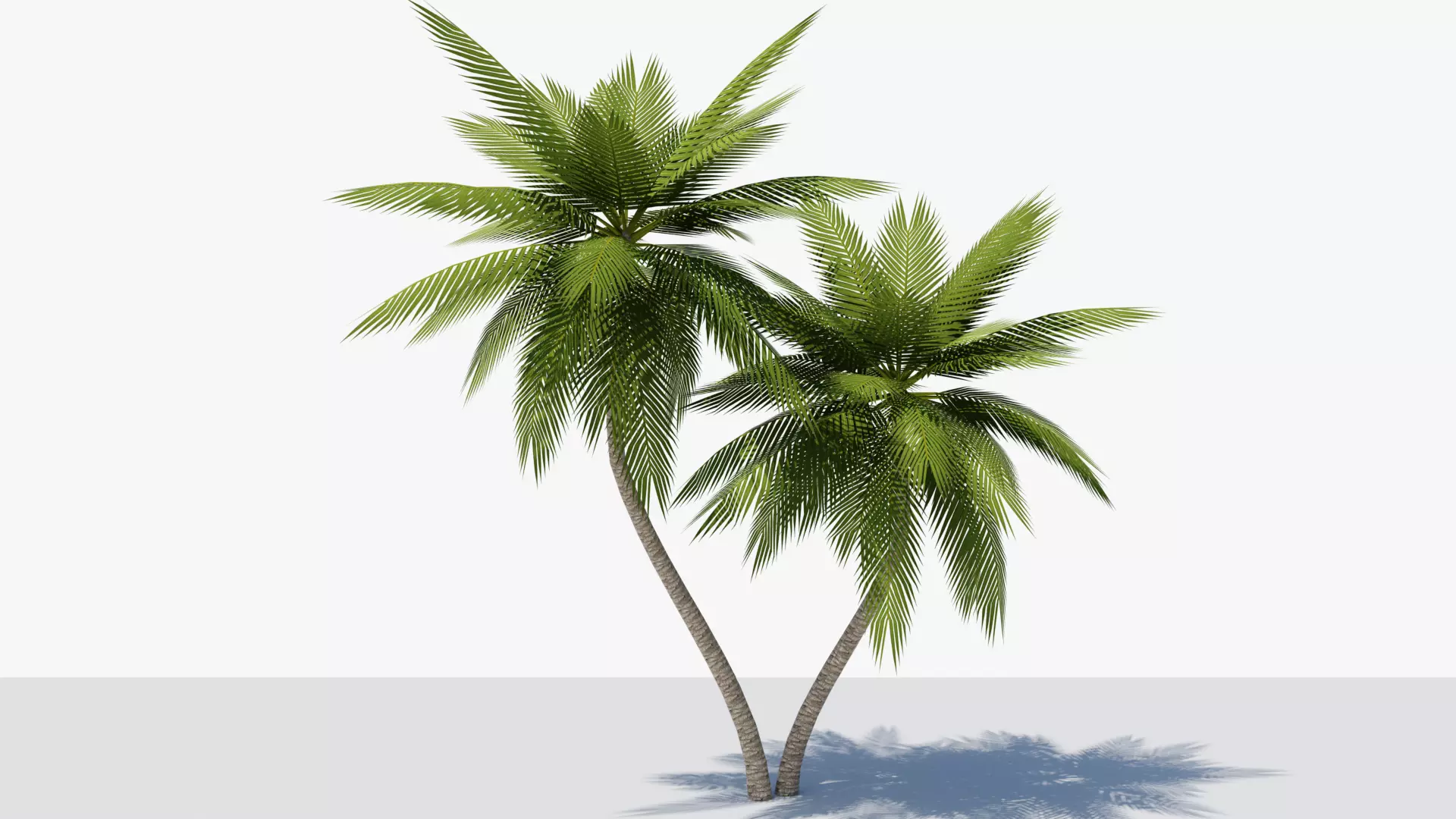 Lowpoly Date Palm v6 Low-poly 3D model_0