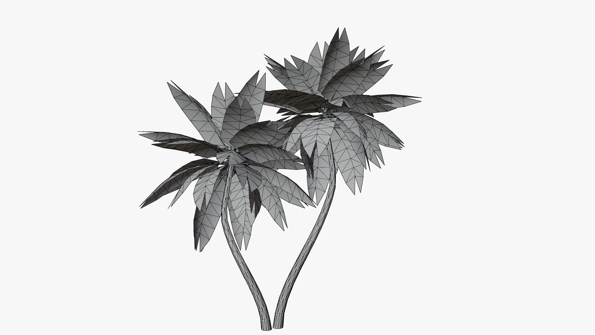 Lowpoly Date Palm v6 Low-poly 3D model_7