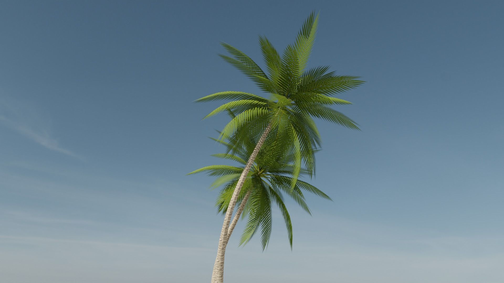 Lowpoly Date Palm v6 Low-poly 3D model_8