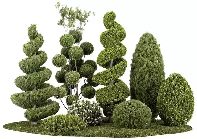 Groups of outdoor Decorative trees - Bushes - and Hedges 3D model