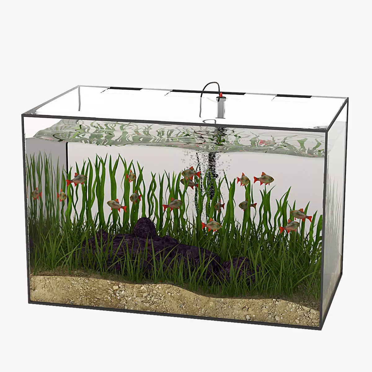 Rectangular Glass Aquarium 3D model_0