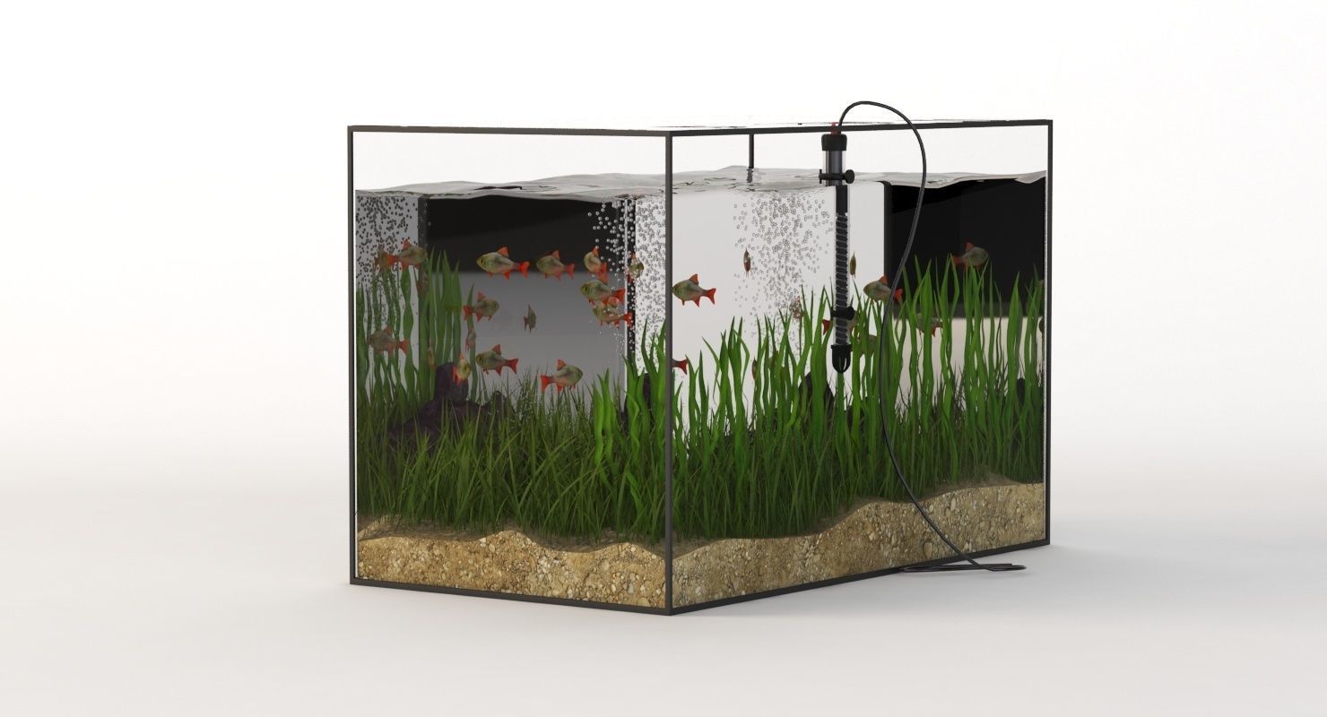 Rectangular Glass Aquarium 3D model_5