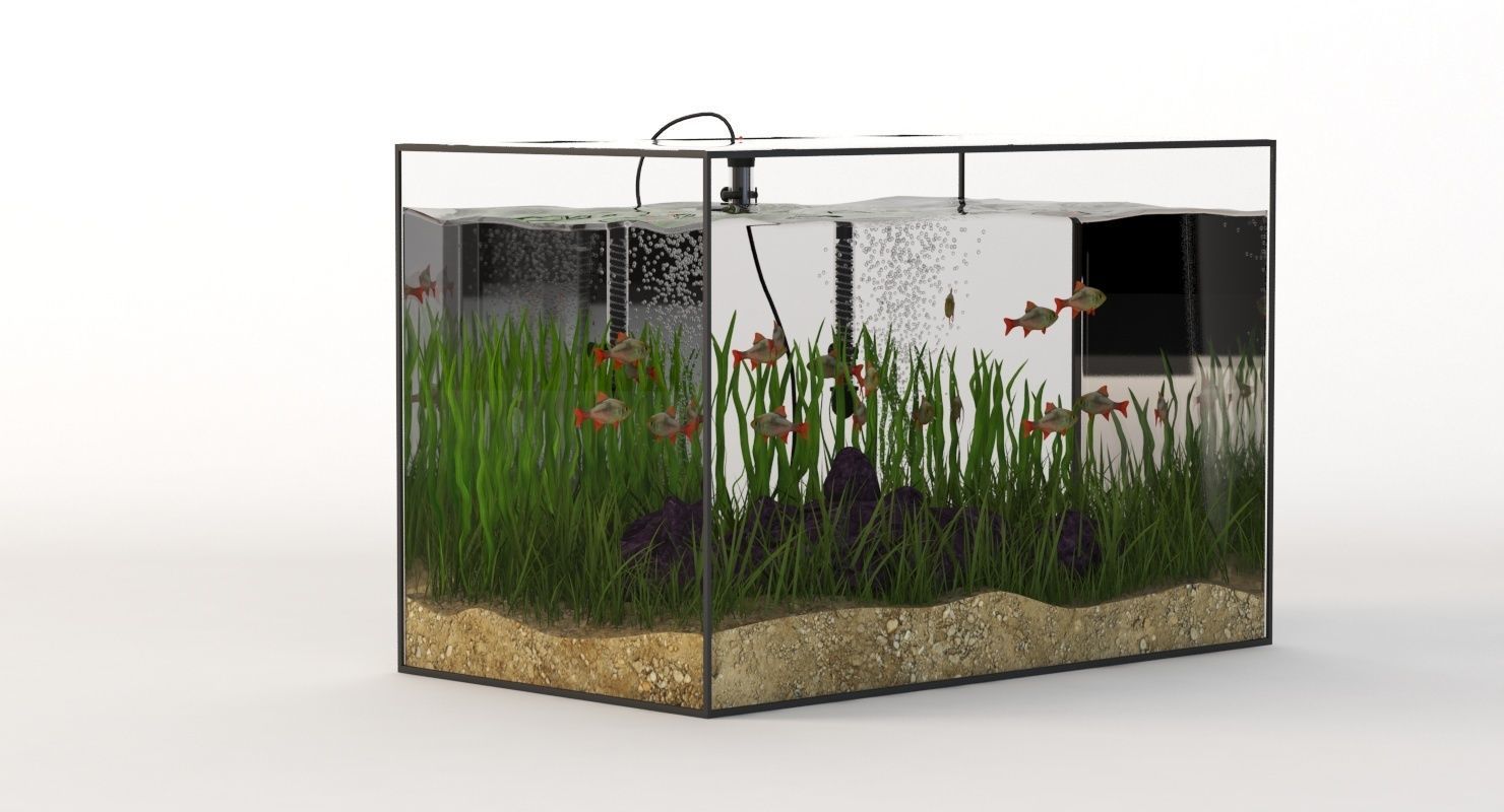 Rectangular Glass Aquarium 3D model_2