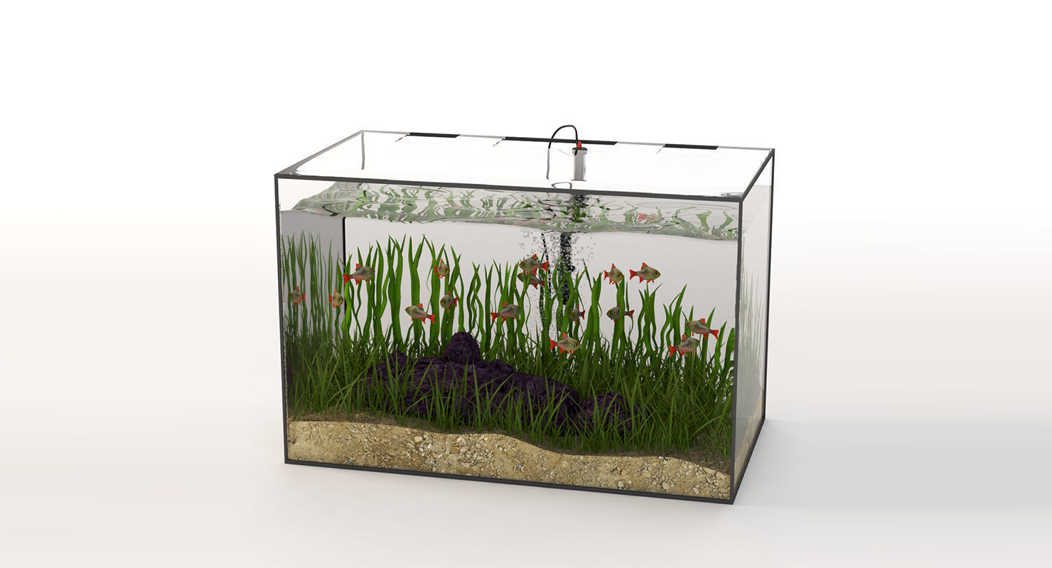 Rectangular Glass Aquarium 3D model_8
