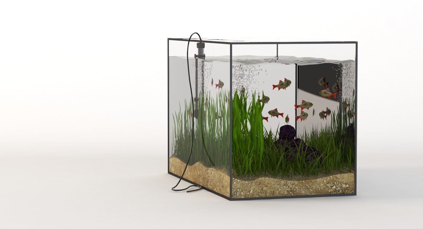 Rectangular Glass Aquarium 3D model_3