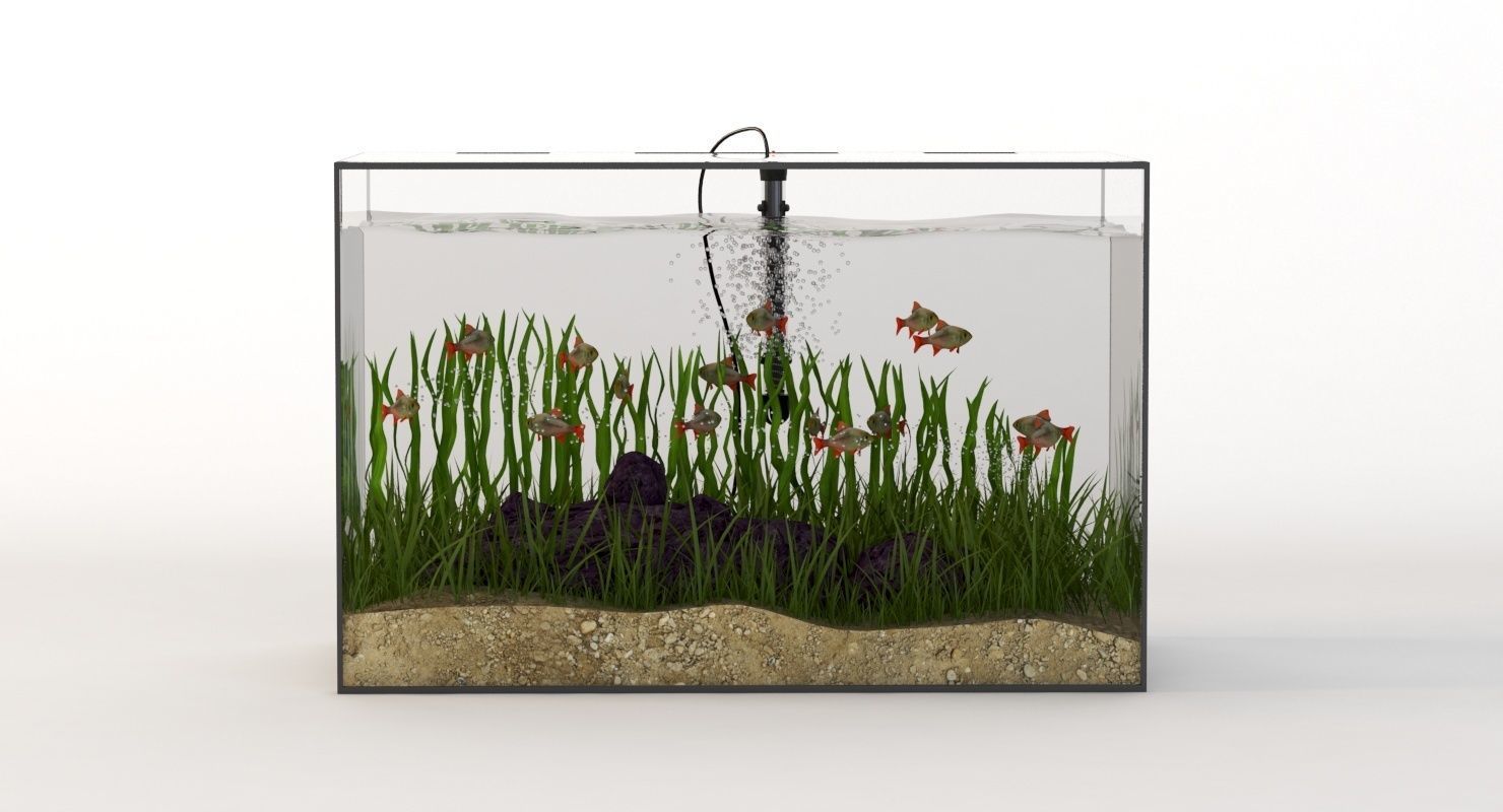 Rectangular Glass Aquarium 3D model_7