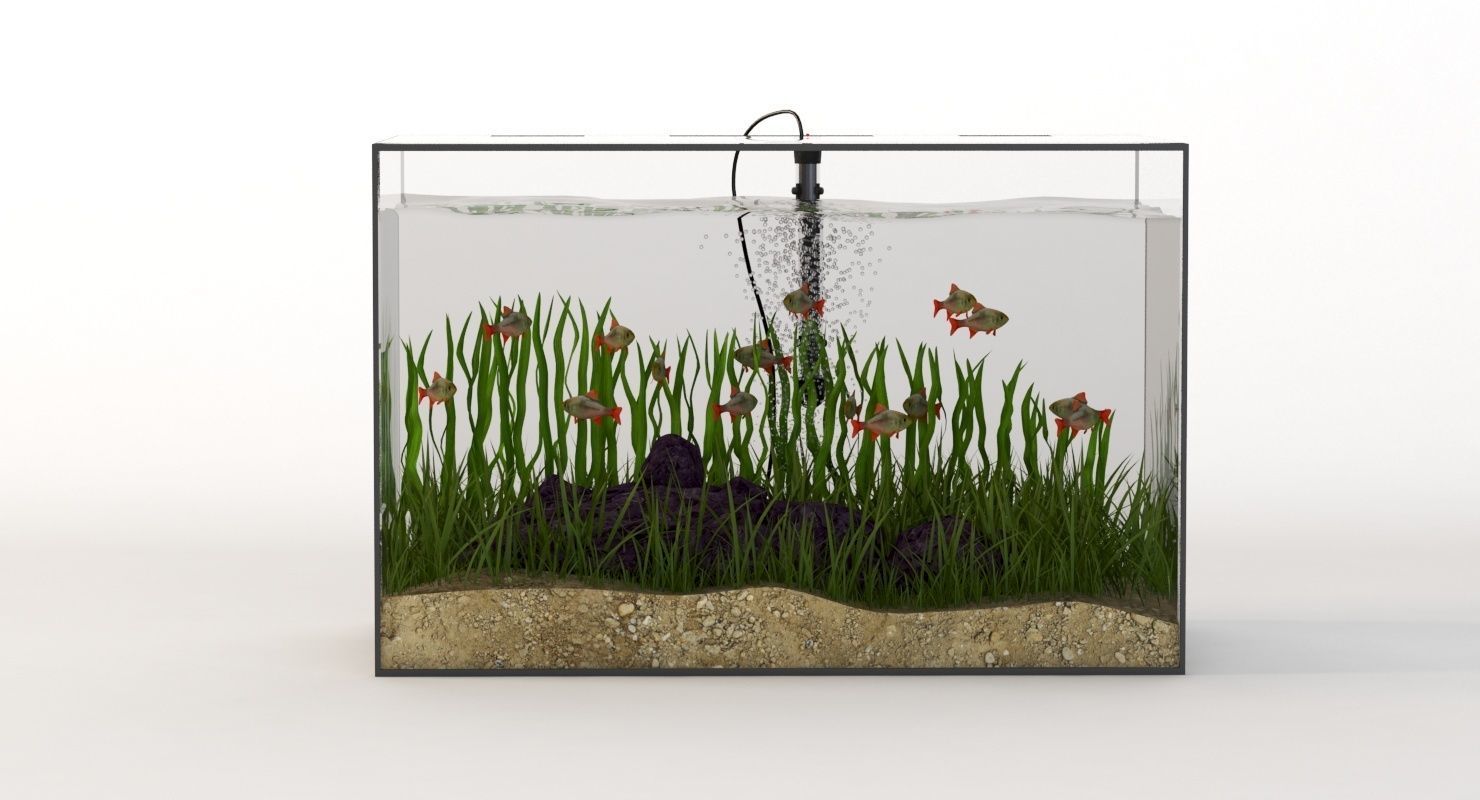 Rectangular Glass Aquarium 3D model_1