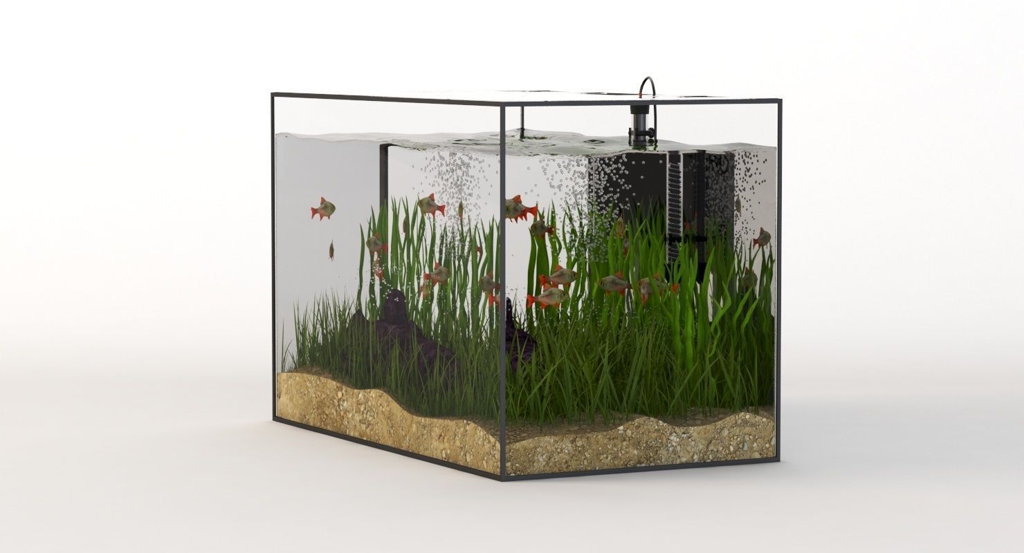 Rectangular Glass Aquarium 3D model_6