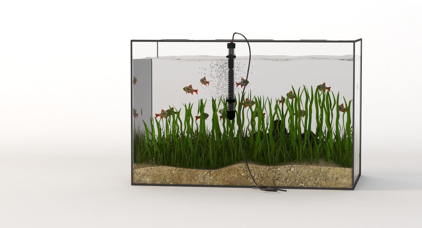 Rectangular Glass Aquarium 3D model_4