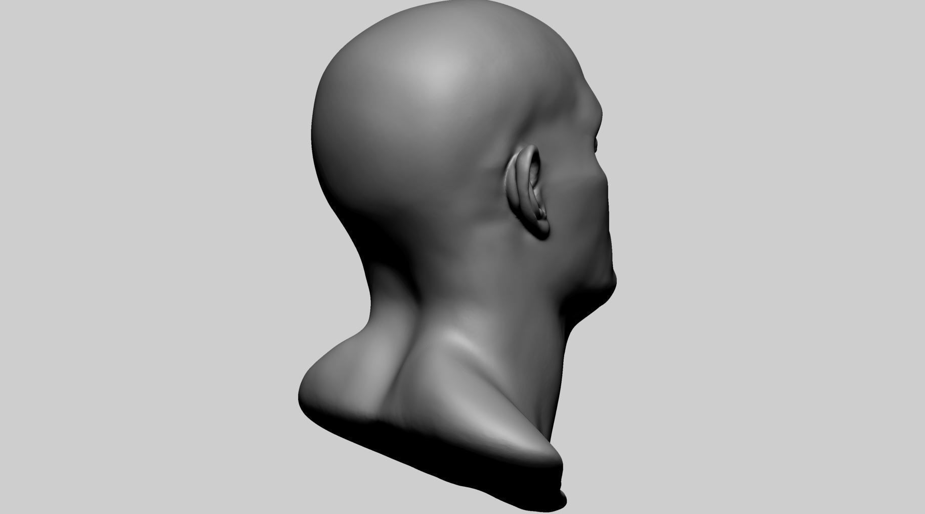 Base Male Head C 3D model_2