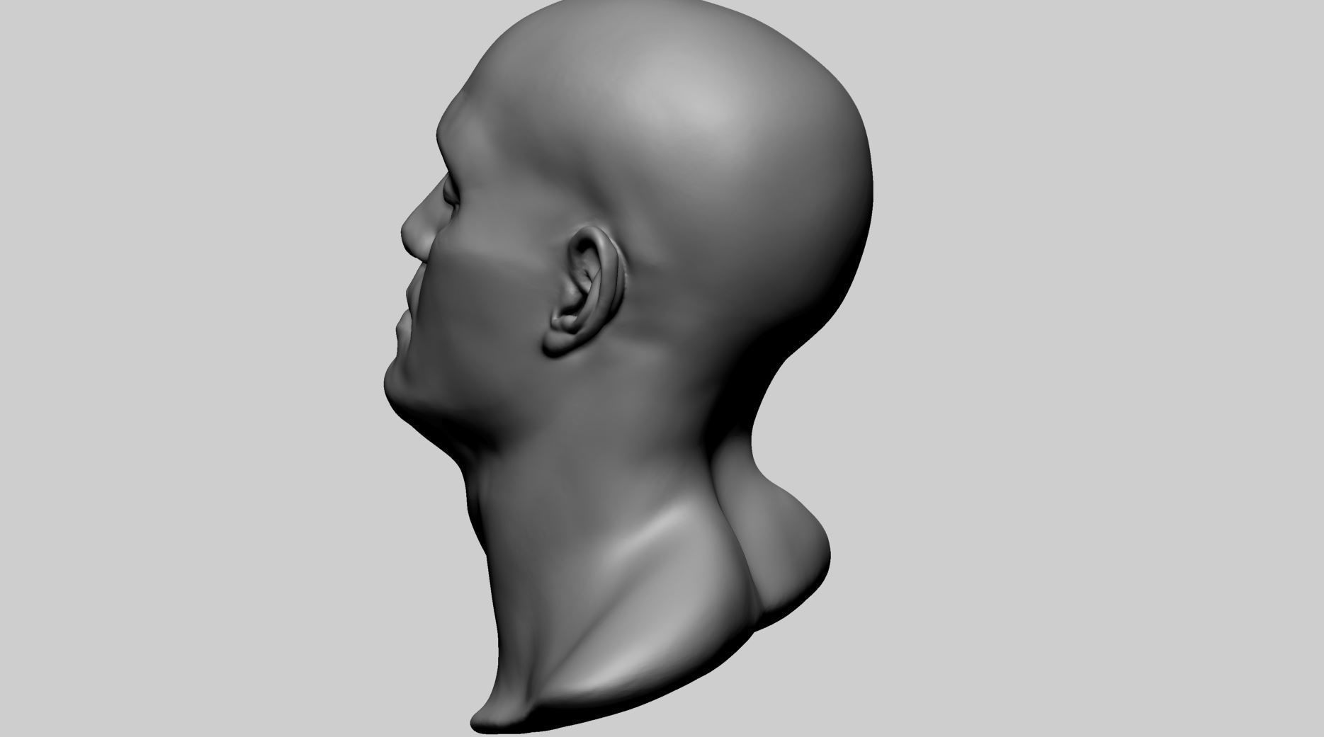 Base Male Head C 3D model_4