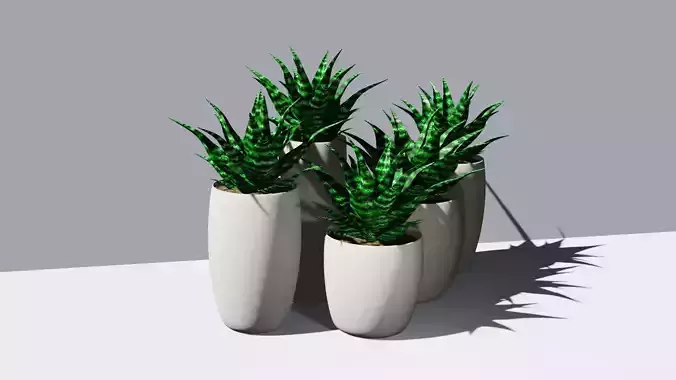 SET OF 5 PLANT POTS 3D model