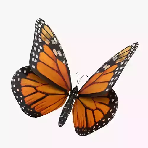 Flying Monarch Butterfly