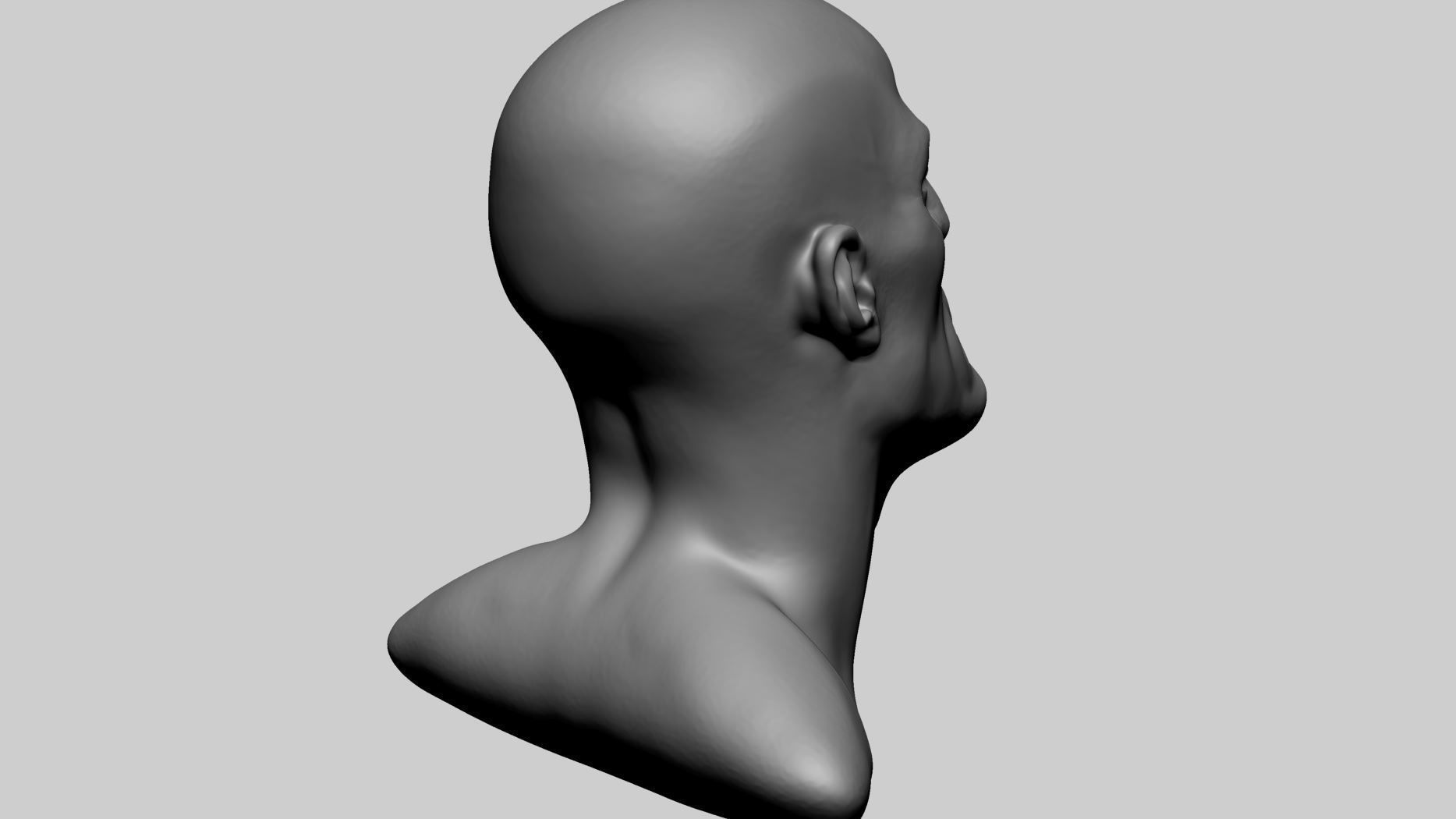 Stylized Male Head D 3D model_3