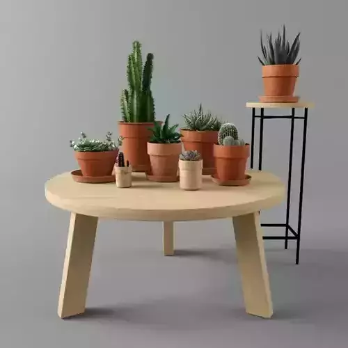 Cactus set coffee table with potted plants