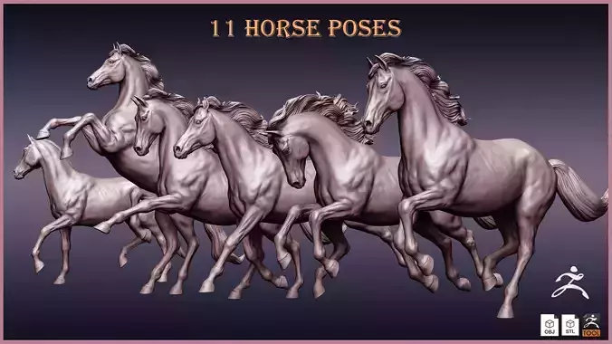 11 Horse poses 3D model